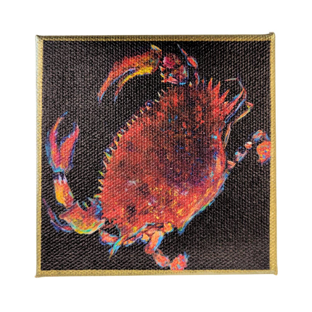 "Spotlight Crab" Mini Canvas